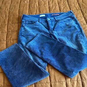 Pilcro Women’s Corduroys in Vibrant Blue